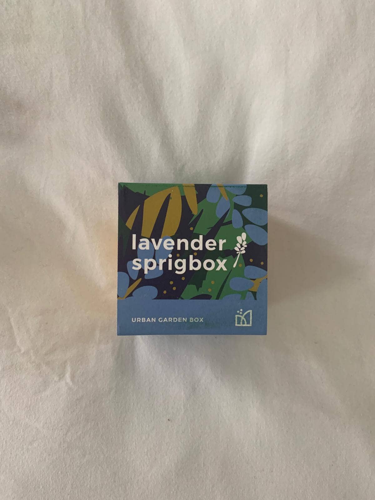 Lavender Grow Kit | Flower Gift | Wooden Planter Box