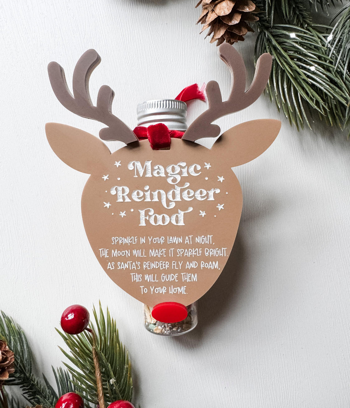 Magic Reindeer Food