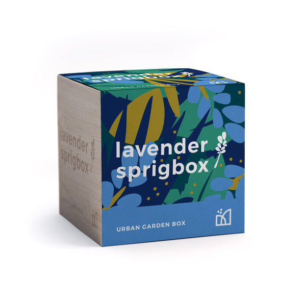 Lavender Grow Kit | Flower Gift | Wooden Planter Box - Little Color Company