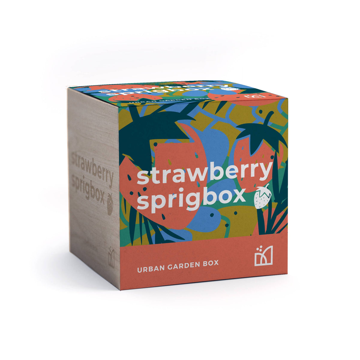 Strawberry Grow Kit | Wooden Planter Box | Fruit Gardening