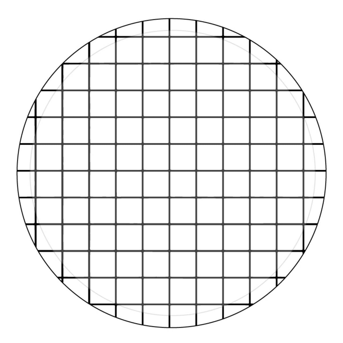 Black And White Grid Paper Plates