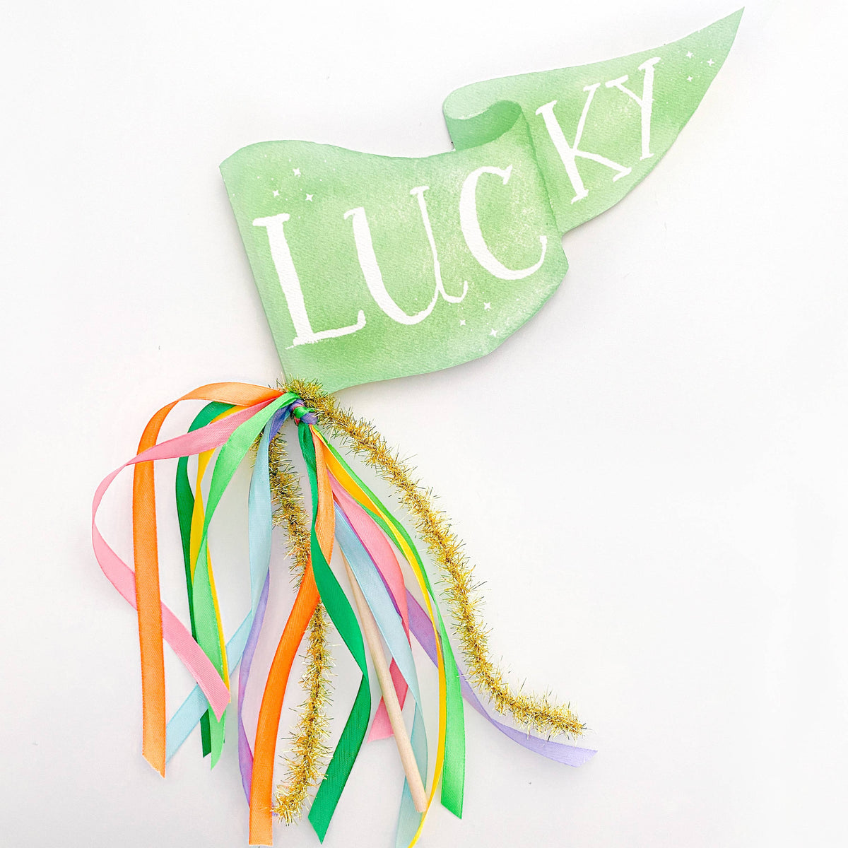 Lucky St. Patrick&#39;s Day Party Pennant